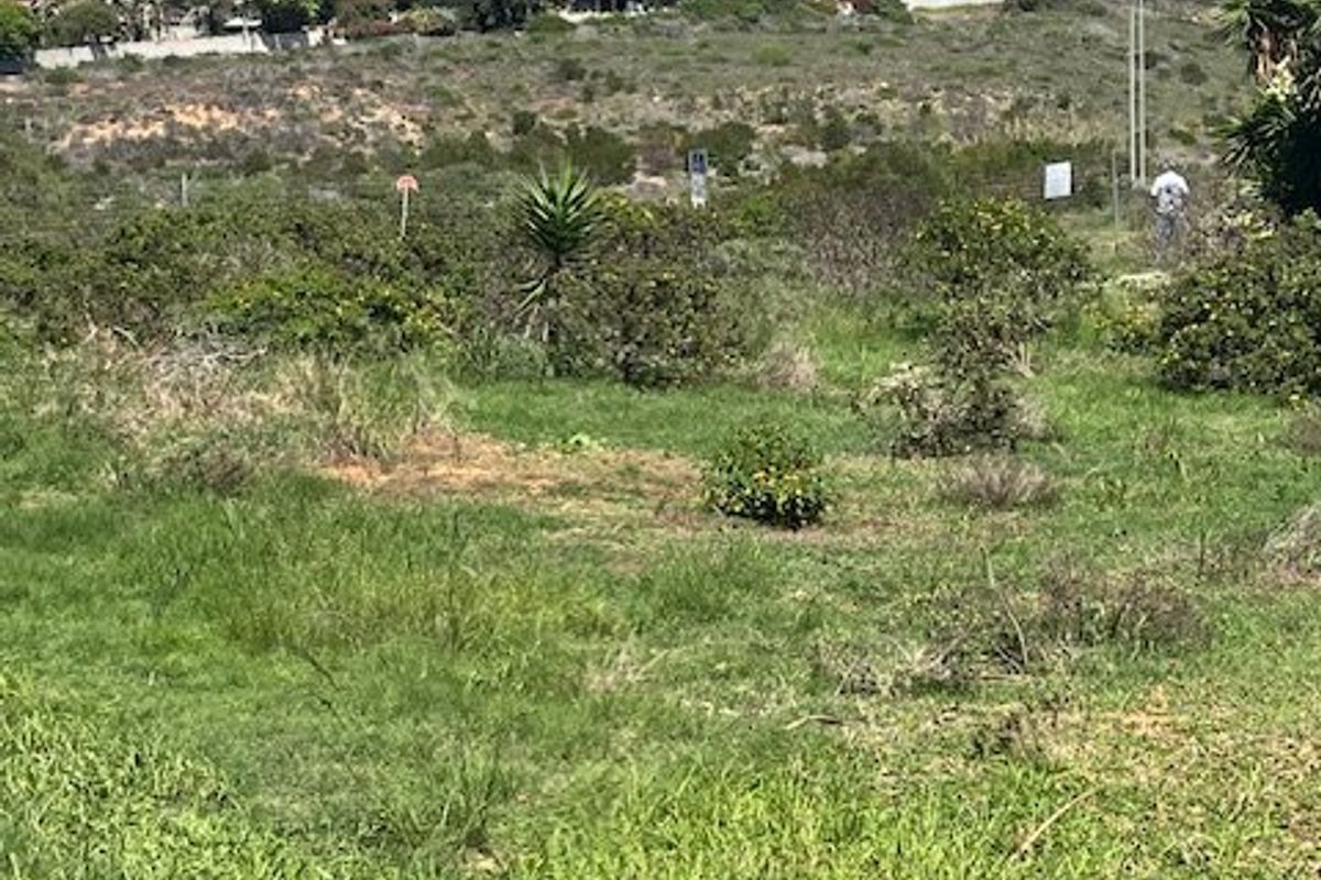 Exclusive dual mandate , Prime Business Opportunity in Hartenbos Heuwels - Photo 3