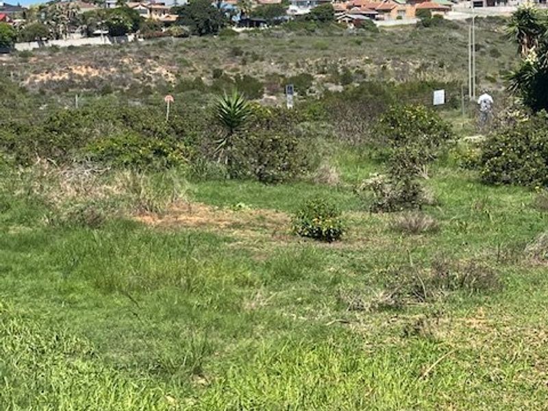 Exclusive dual mandate , Prime Business Opportunity in Hartenbos Heuwels - Photo 3