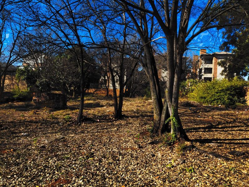 Prime Vacant Land for Mixed-Use Development – Florence Ribeiro Street, Nieuw Muckleneuk (Bordering Waterkloof) - Photo 9