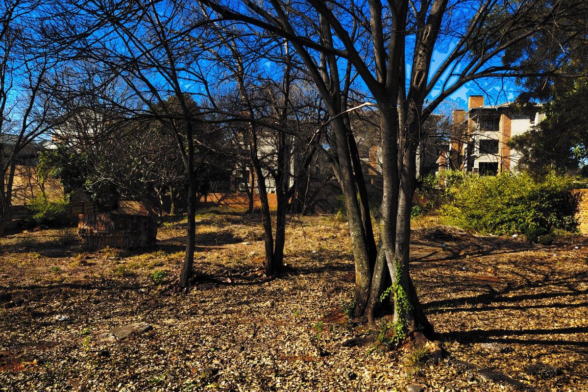 Prime Vacant Land for Mixed-Use Development – Florence Ribeiro Street, Nieuw Muckleneuk (Bordering Waterkloof) - Photo 4