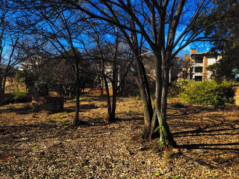 Prime Vacant Land for Mixed-Use Development – Florence Ribeiro Street, Nieuw Muckleneuk (Bordering Waterkloof) - Photo 4