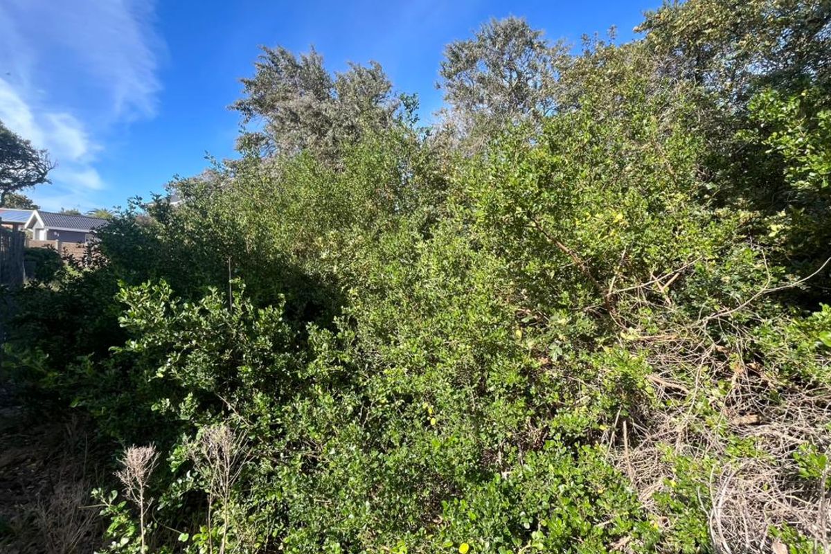 Elegant Coastal Opportunity Vacant Land in Aston Bay Jeffreys Bay - Photo 4