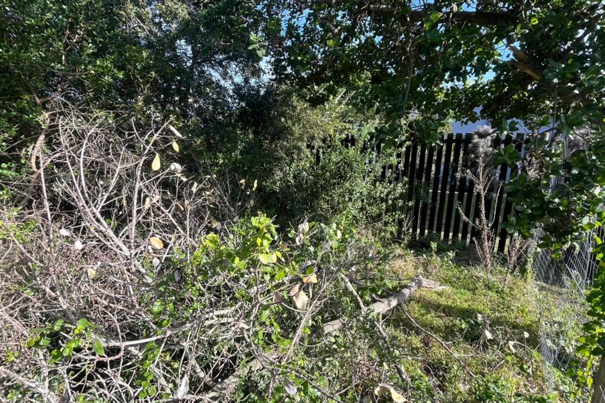 Elegant Coastal Opportunity Vacant Land in Aston Bay Jeffreys Bay - Photo 3