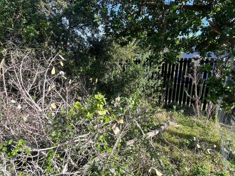 Elegant Coastal Opportunity Vacant Land in Aston Bay Jeffreys Bay - Photo 3