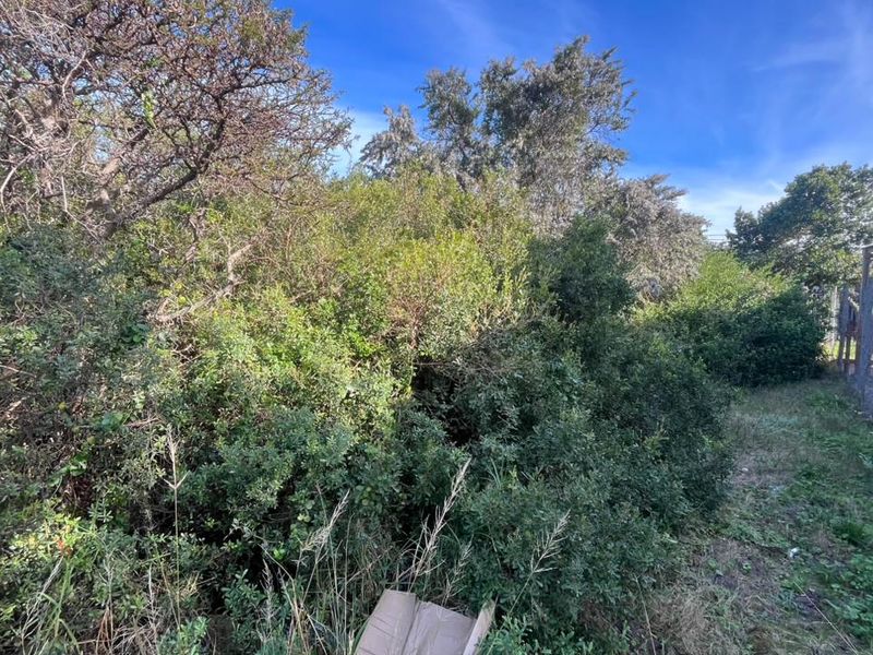 Elegant Coastal Opportunity Vacant Land in Aston Bay Jeffreys Bay - Photo 6