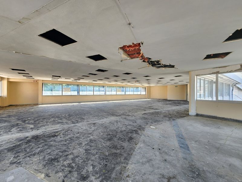 Flexible Whitebox Office Space To Rent in Strand - Photo 3