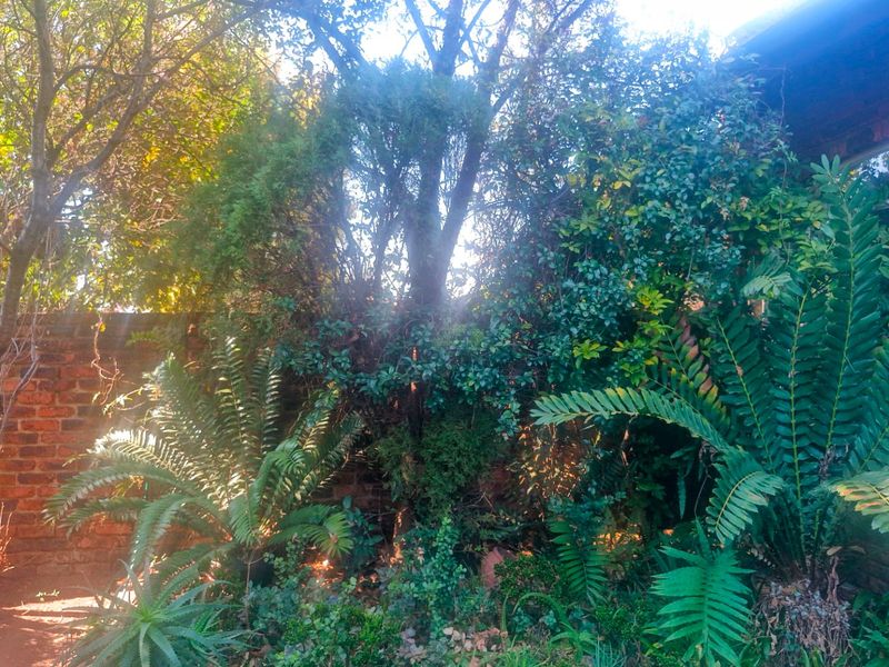 Double Story Town House  2 Bed Loft 2 Bathrooms Private Garden With Swimming Pool ----- Pet Friendly - Photo 6