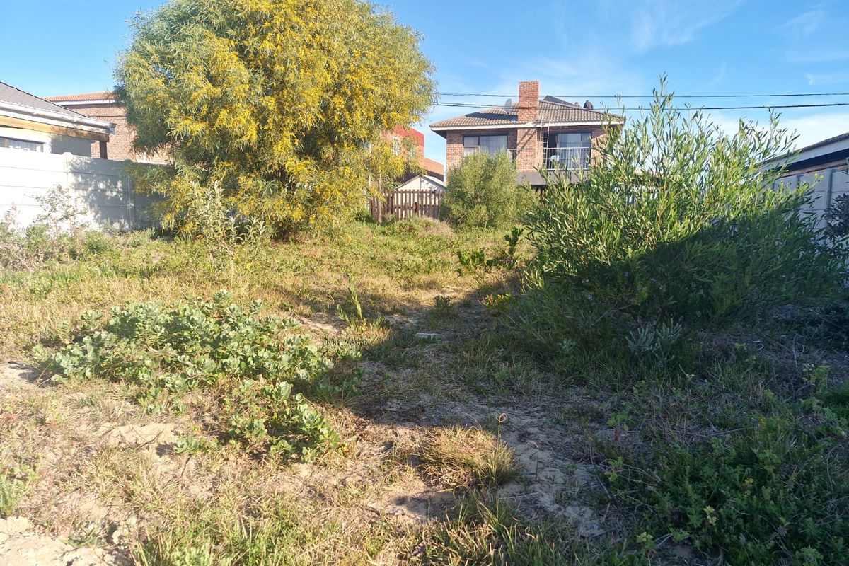 A view of an overgrown residential garden plot featuring mature trees and shrubs, enclosed by a precast concrete boundary wall.