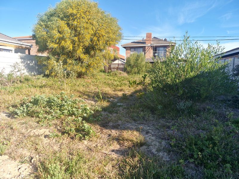 A view of an overgrown residential garden plot featuring mature trees and shrubs, enclosed by a precast concrete boundary wall.