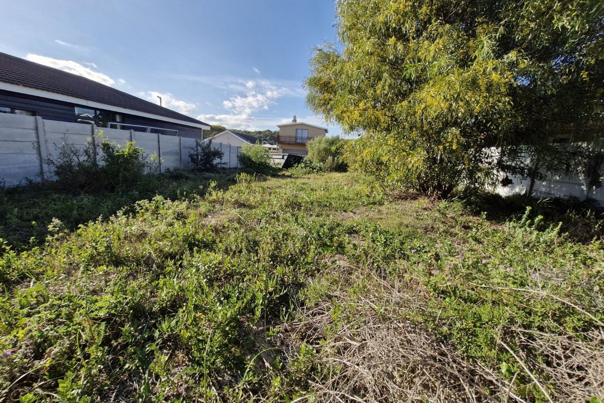 A view of a vacant residential plot featuring overgrown vegetation and established boundary walls, offering a blank canvas for future development.