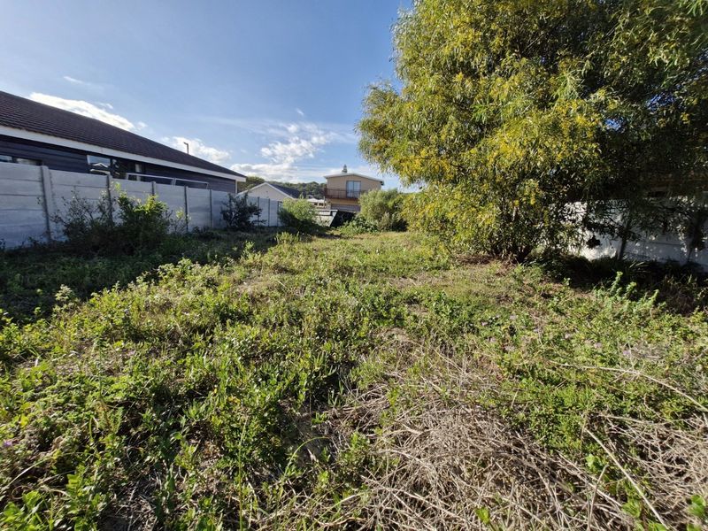 A view of a vacant residential plot featuring overgrown vegetation and established boundary walls, offering a blank canvas for future development.