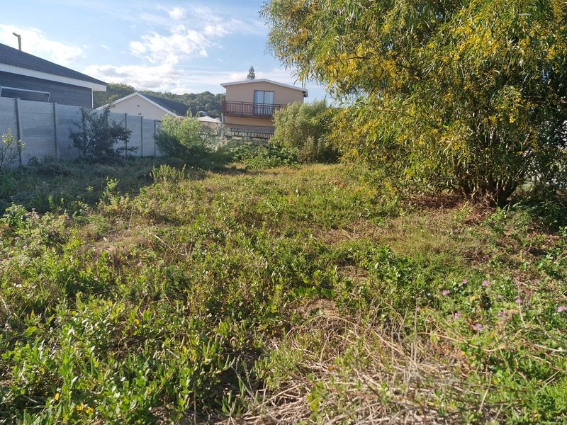 A vacant residential plot featuring overgrown vegetation, mature trees, and a precast concrete boundary wall, offering potential for development.