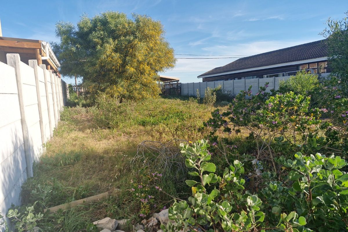 A view of a residential garden plot enclosed by precast concrete boundary walls, featuring mature trees and overgrown vegetation.