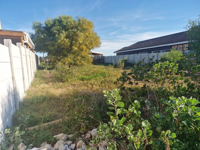 A view of a residential garden plot enclosed by precast concrete boundary walls, featuring mature trees and overgrown vegetation.