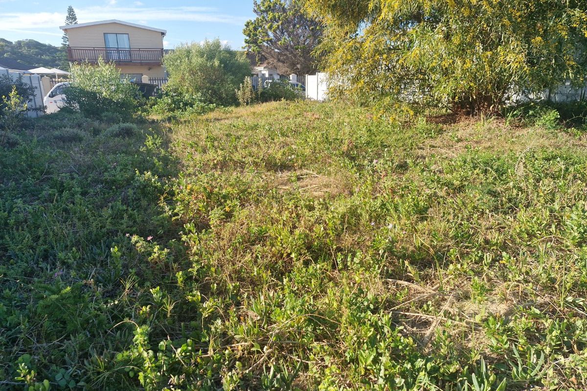 A view of the vacant residential land plot featuring natural vegetation and established trees, ready for development.