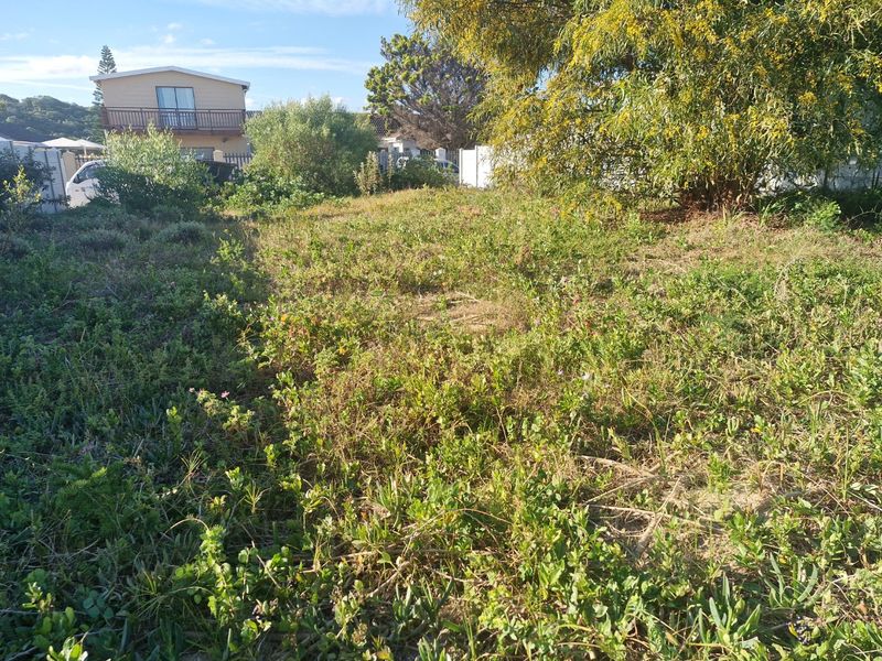 A view of the vacant residential land plot featuring natural vegetation and established trees, ready for development.