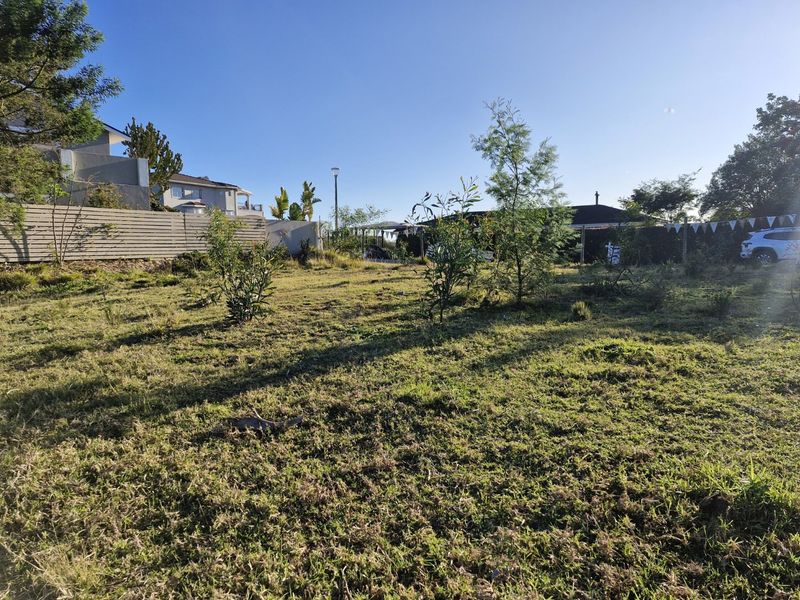 Exceptional Opportunity – North-Facing 810m2 Stand - Photo 10