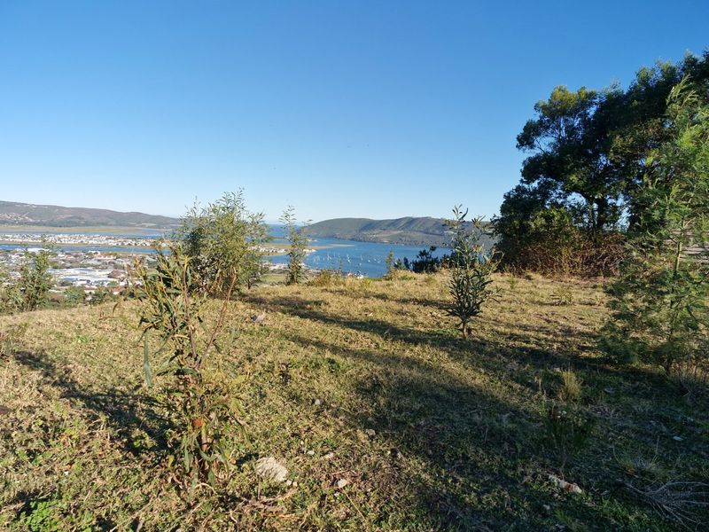 Exceptional Opportunity – North-Facing 810m2 Stand - Photo 4