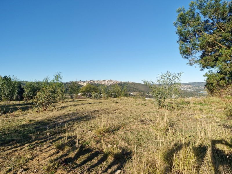 Exceptional Opportunity – North-Facing 810m2 Stand - Photo 5