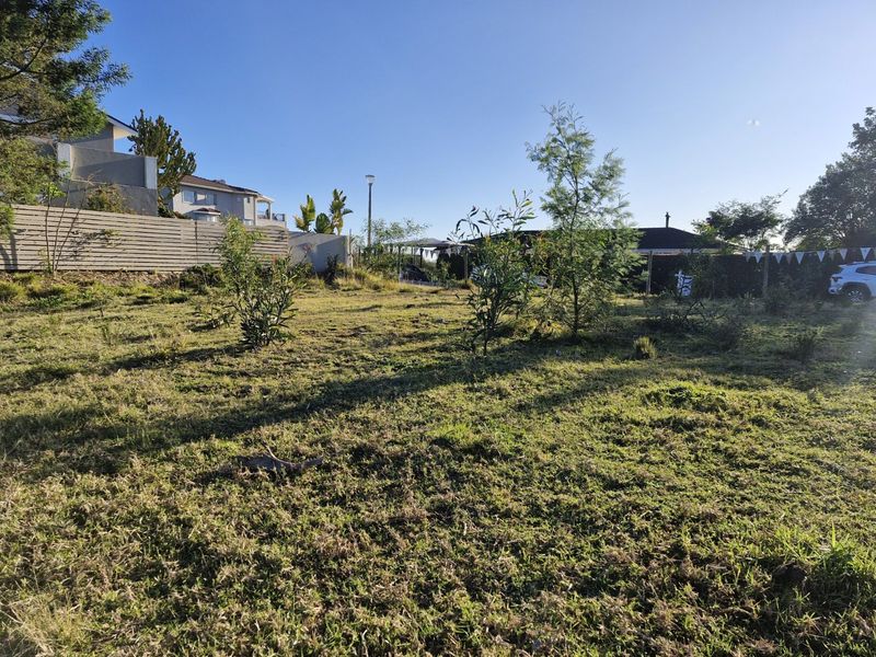 Exceptional Opportunity – North-Facing 810m2 Stand - Photo 3