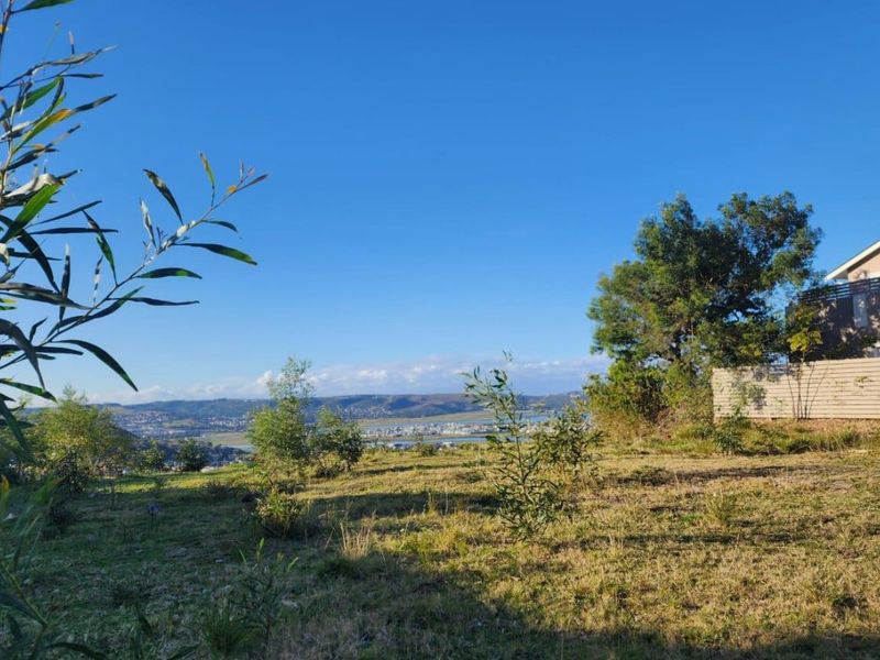 Exceptional Opportunity – North-Facing 810m2 Stand - Photo 2