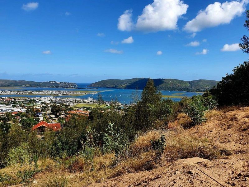 Exceptional Opportunity – North-Facing 810m2 Stand - Photo 7