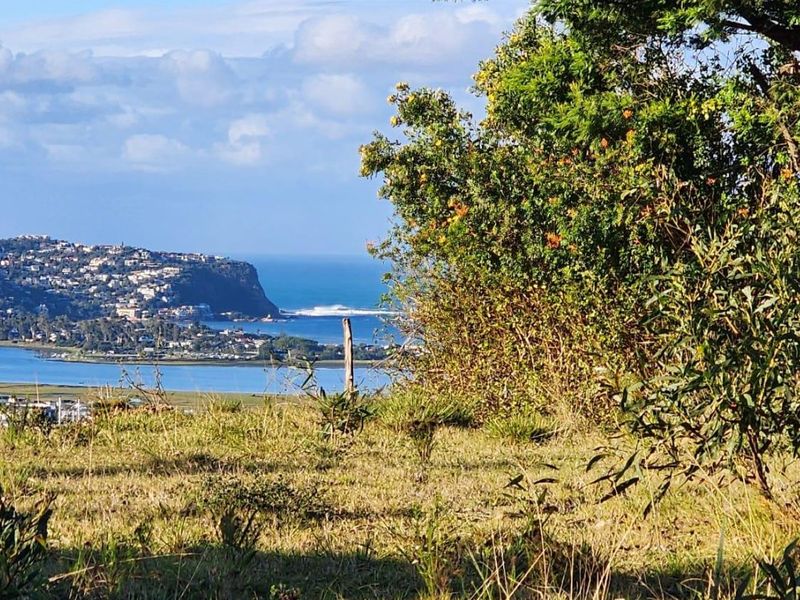 Exceptional Opportunity – North-Facing 810m2 Stand - Photo 6