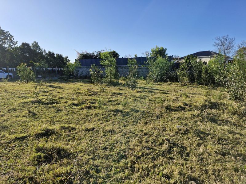 Exceptional Opportunity – North-Facing 810m2 Stand - Photo 1