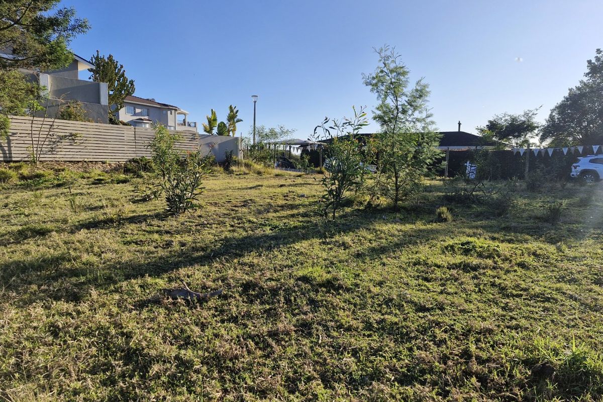 A view of a vacant residential plot featuring established grass, scattered small trees, and perimeter fencing, offering a blank canvas for development.