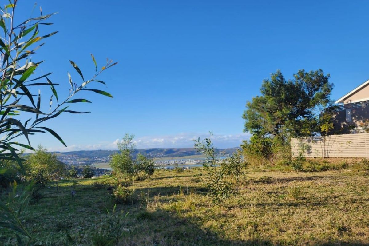 A view of the vacant residential land featuring natural vegetation and a scenic outlook over the surrounding landscape and distant water.