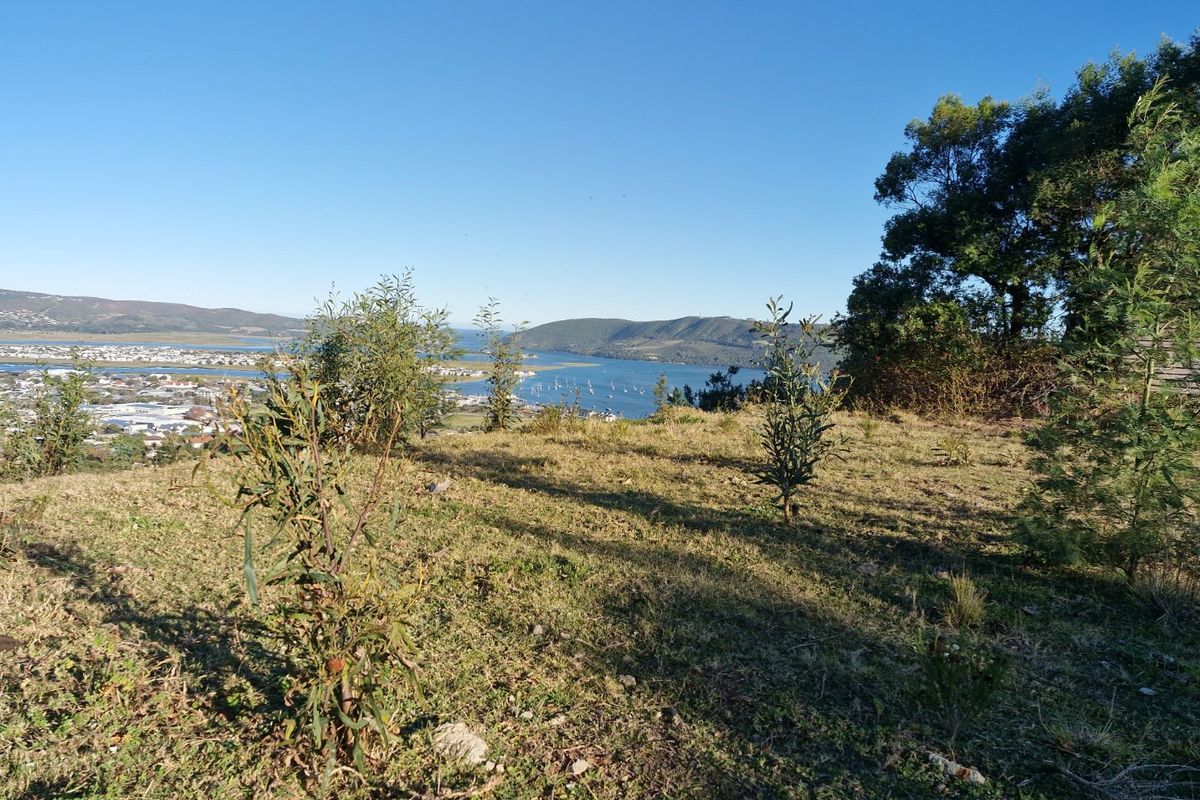 Elevated view of the lagoon and surrounding landscape from the vacant residential plot, showcasing natural vegetation and scenic coastal vistas.