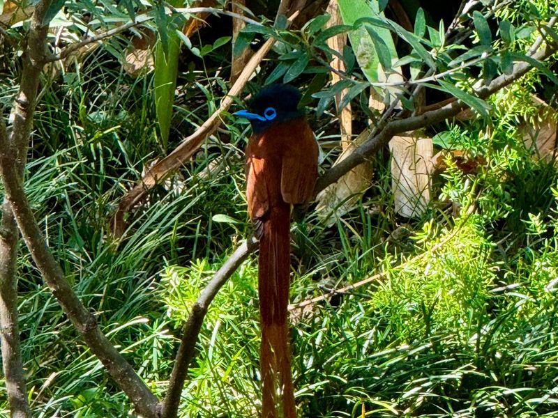 Majestic living next to the mountain. Have your own piece of nature. - Photo 6