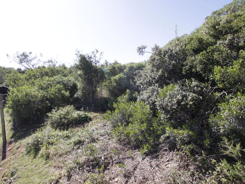 Make your dream home happen on this vacant plot - Photo 4