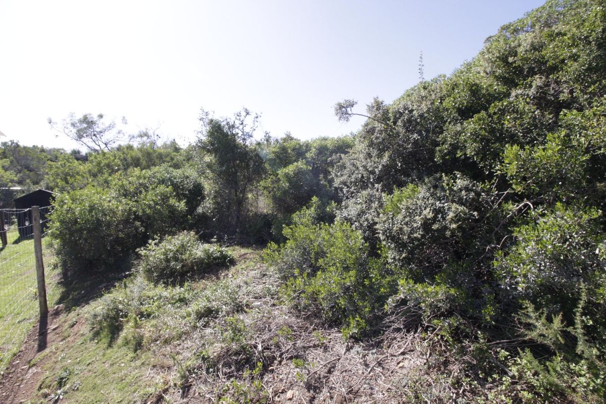 A view of the natural, undeveloped residential land featuring dense native vegetation and perimeter wire fencing.