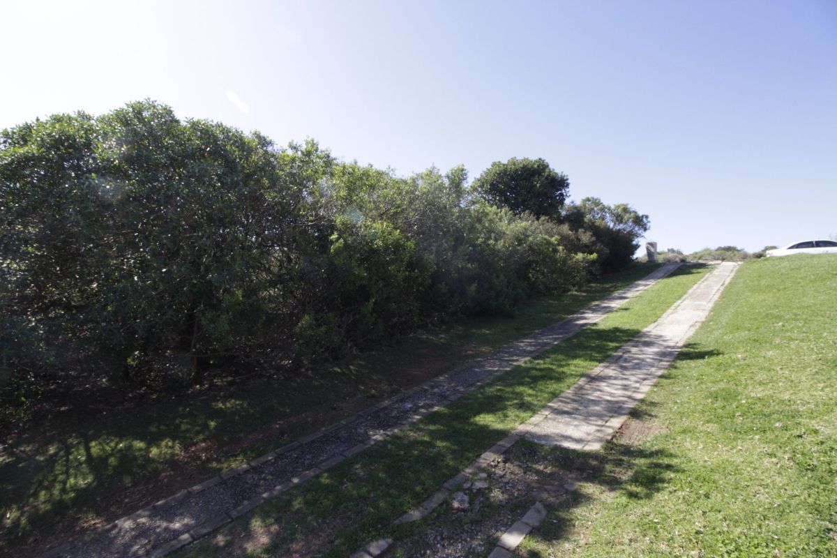 A view of the property entrance featuring a paved driveway bordered by mature shrubbery and a grassed verge.
