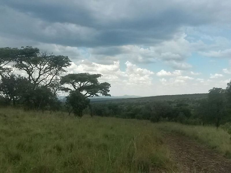 Farm with a difference. - Photo 10