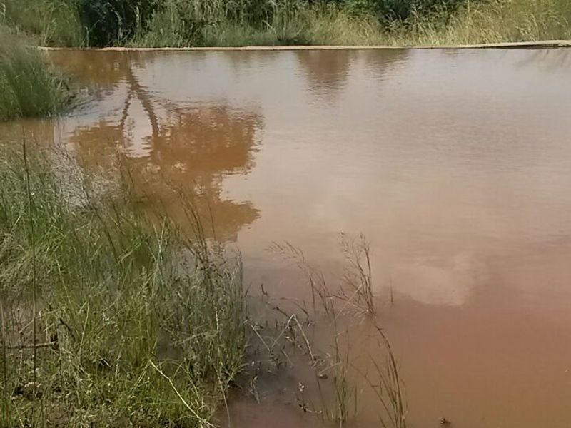 Farm with a difference. - Photo 8