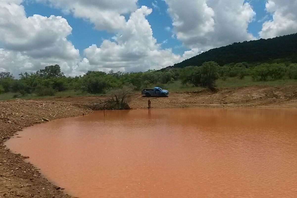 Farm with a difference. - Photo 2