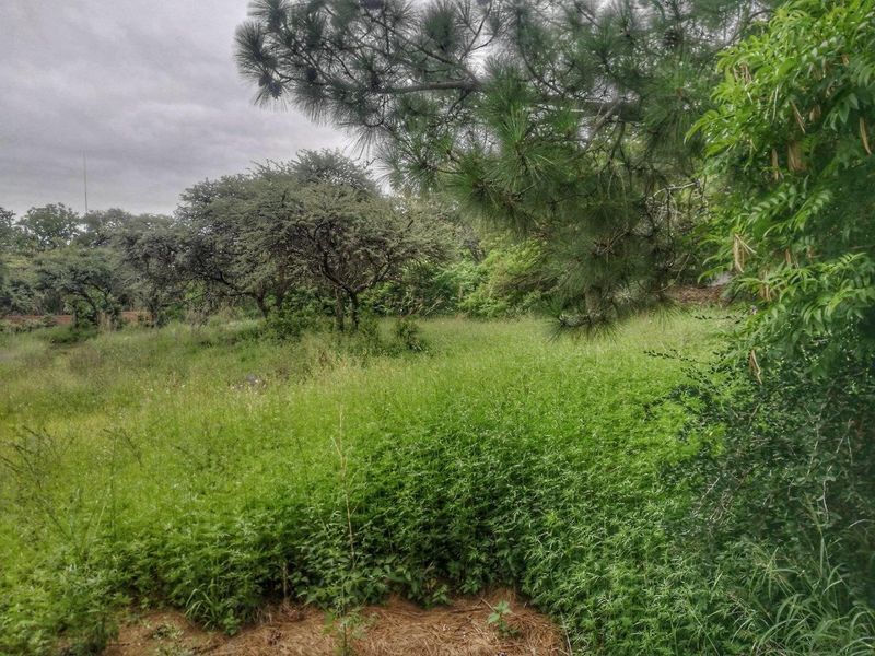 A view of the vacant residential land featuring established trees and natural vegetation cover.