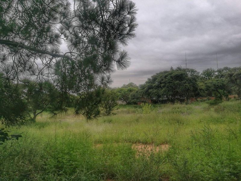 A view of a vacant residential plot featuring established trees and natural grassland vegetation.