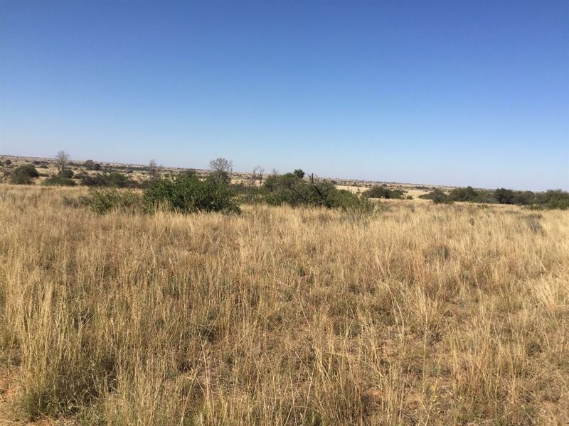A wide-angle view of a vacant residential plot featuring natural grassland and indigenous shrubs under a clear blue sky.
