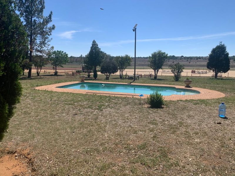 Stunning 22ha piece of land with houses on for sale just outside Klerksdorp!!!! - Photo 5