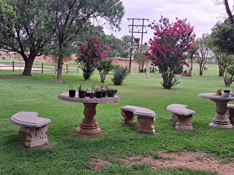 Stunning 22ha piece of land with houses on for sale just outside Klerksdorp!!!! - Photo 7
