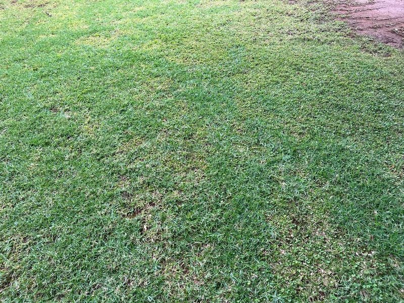 Vacant stand for Sale in Adamayview - Photo 2