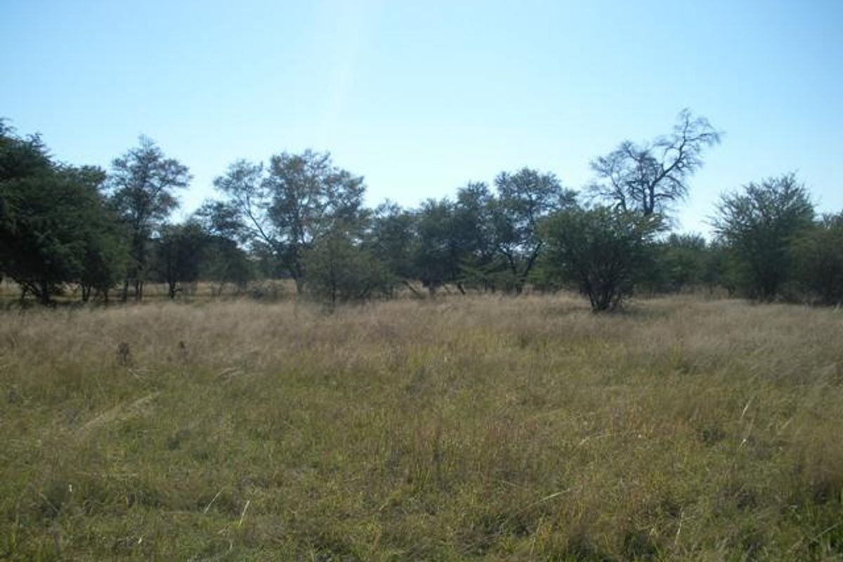 A view of a vacant residential plot featuring natural grassland and established native trees.