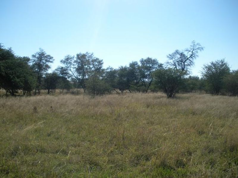 A view of a vacant residential plot featuring natural grassland and established native trees.