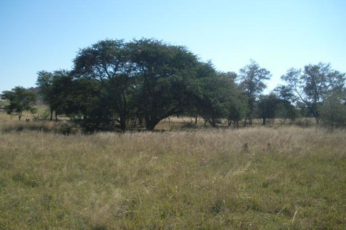 A view of a vacant residential plot featuring natural grassland and mature indigenous trees.