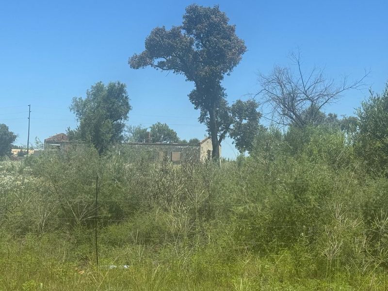 Looking for a truck stop or garage premises for sale? - Photo 6