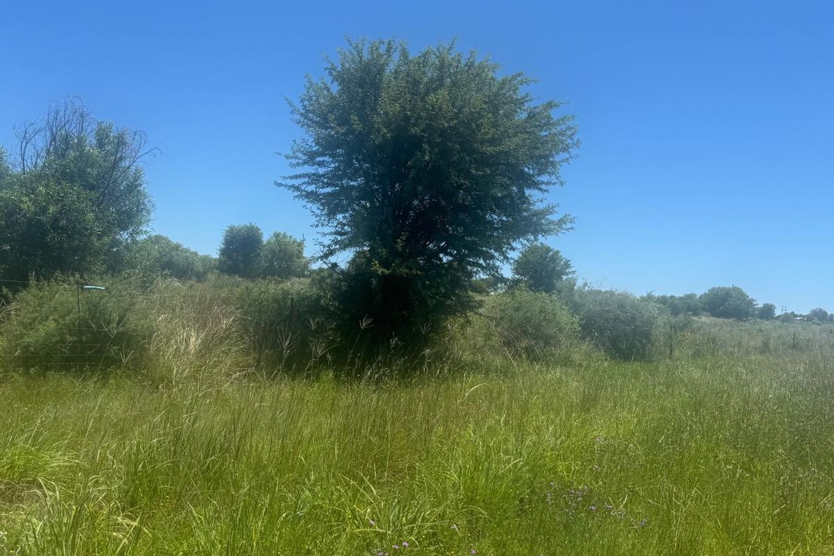 Looking for a truck stop or garage premises for sale? - Photo 4