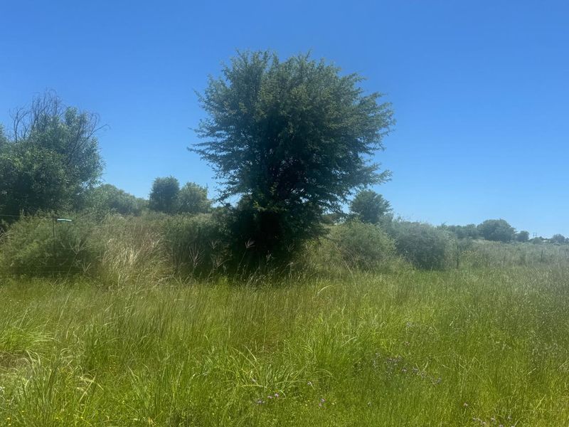 Looking for a truck stop or garage premises for sale? - Photo 4